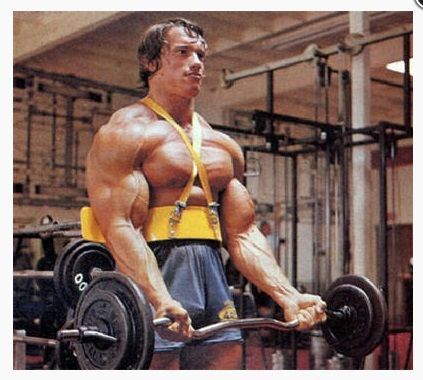 Тренажер бицепса армбластер, для закачки упор локтей