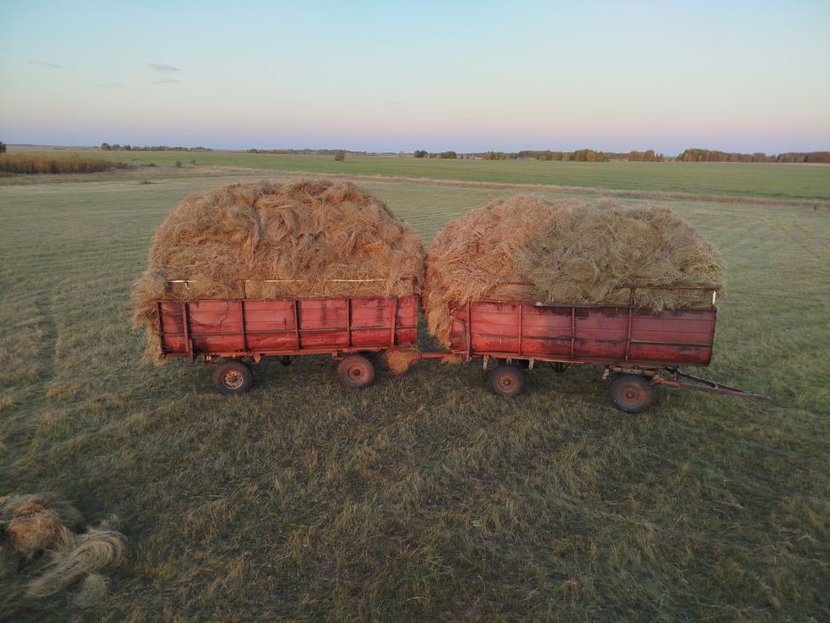МТЗ всё ВМЕСТЕ сено косный комплект