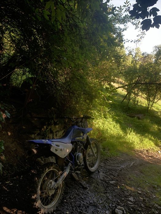 Yamaha ttr 124 cc