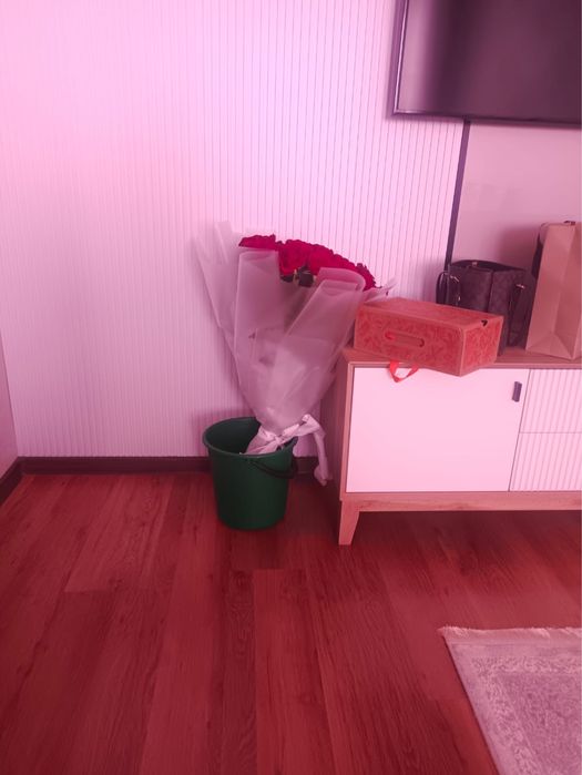 Цветы продам срочно