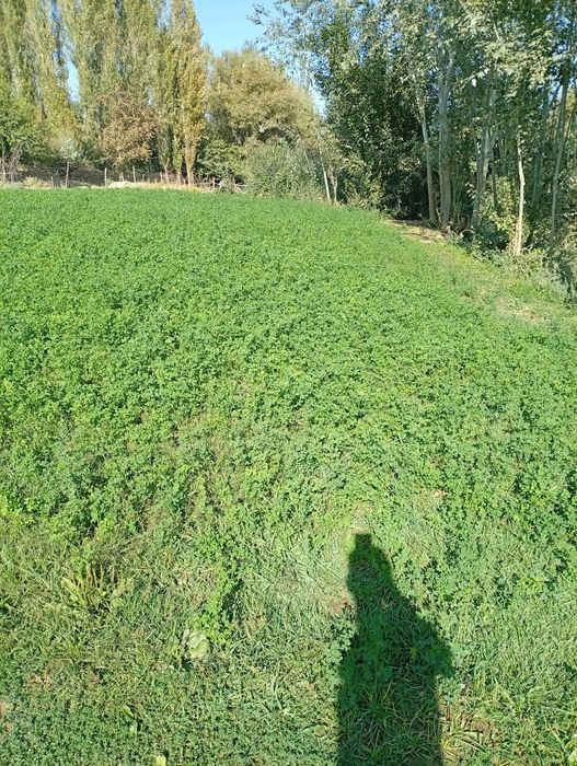 Участок сатылады