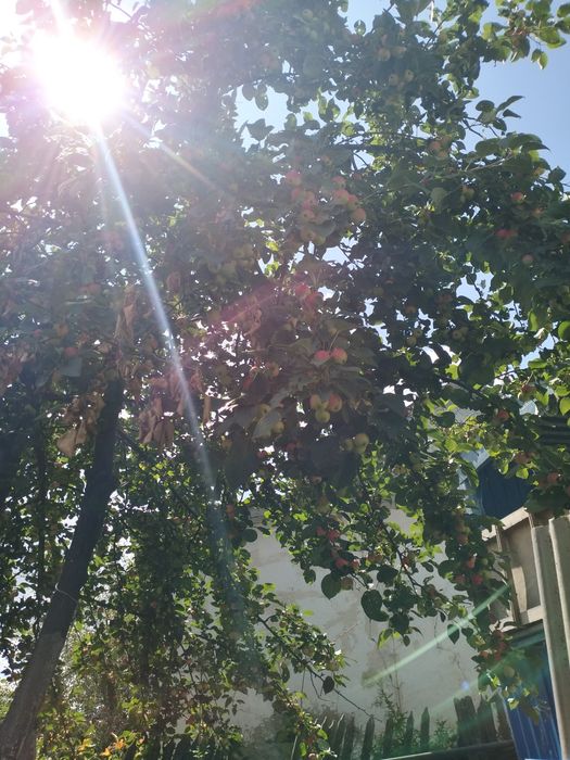 Продам дачу на 2 краснаярский