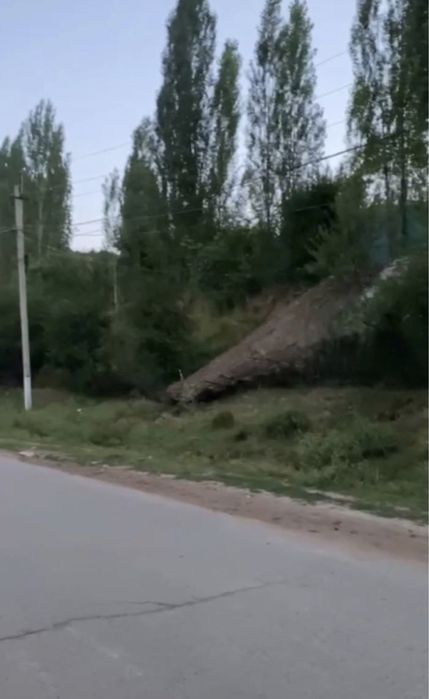 Чимёнда  5 соток  дача сотилади !!!  Сув, свет, централь  канализация.