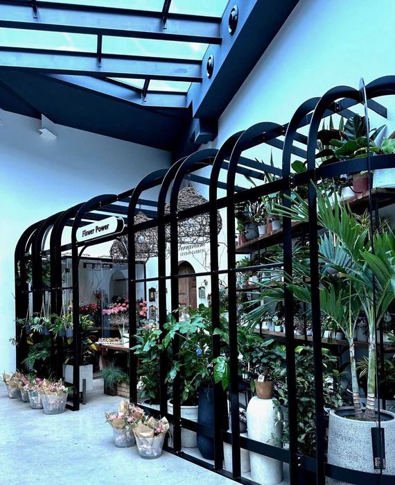 De vânzare – Business florărie funcțională | Constanța