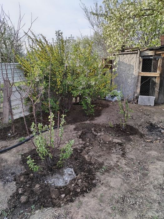 Продам Дачу Адрес Бобровка 2506