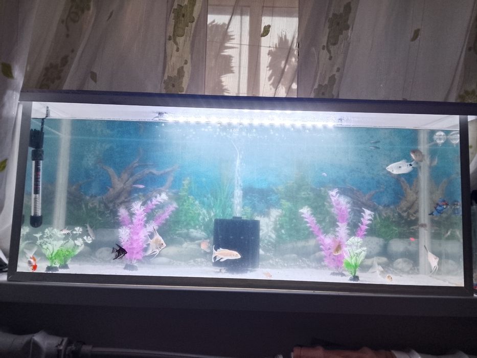 120 литр аквариум полный комплект балыктарымен