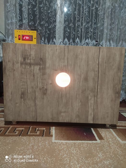 Инкубатор автомат на 200 куриных яиц.