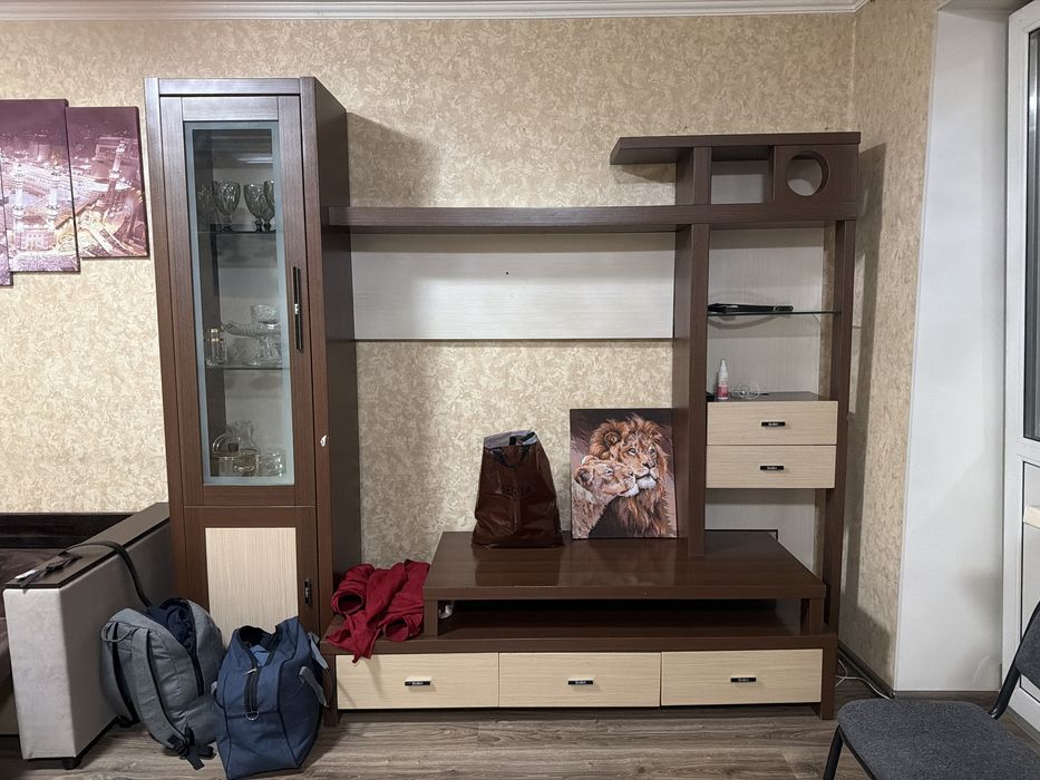 стена для телевизора