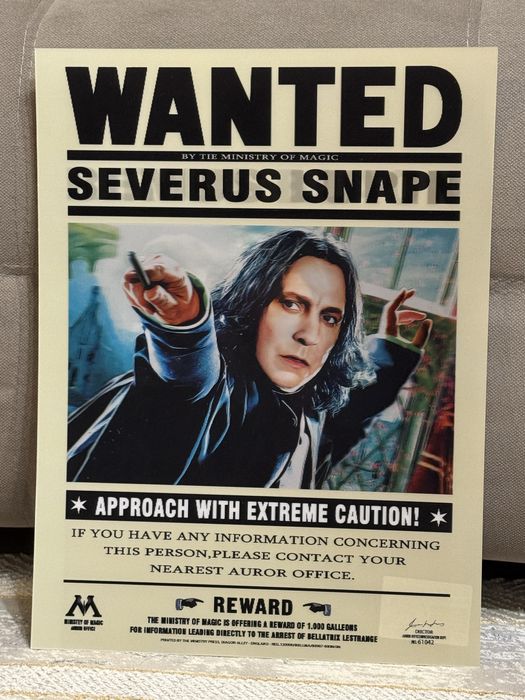 3D постер Гарри Поттер 3 в 1