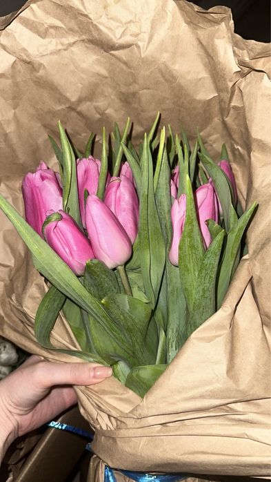 Тюльпаны алматинские крупные