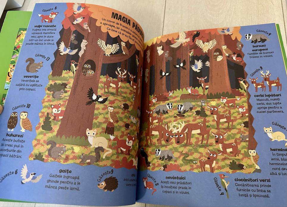 Set 3 cărți de activități pt copii, Noi, 3-7 ani