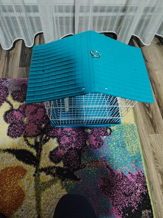 Vând papagal nimfa cu cusca!