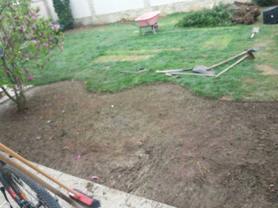 Amenajare si intretinere grădini, toaletare pomi fructiferi!