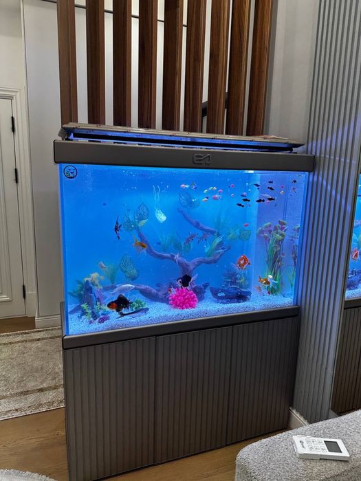 Buyurtma asosida akvarium yasab beramiza