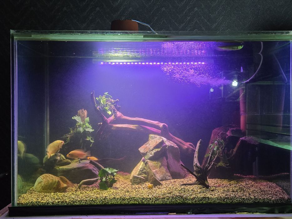 Аквариум 300л, без рыб