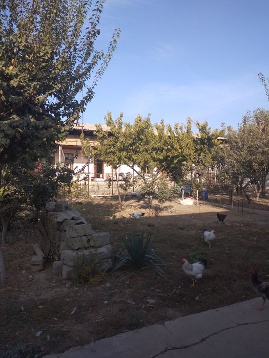 Участка сотилади. 6,5 сотик. Ташкент район. Келес . Райгаз . 130.000$