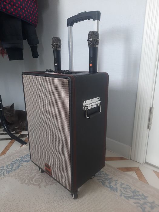 Аудиотехника музыкальная