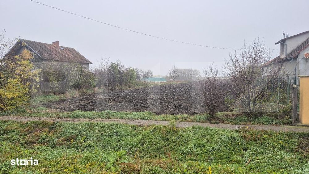 Teren intravilan de vanzare, 27.958 mp, in Vetis