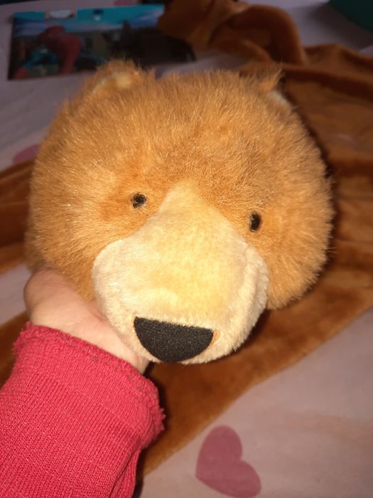 Costum de carnaval urs