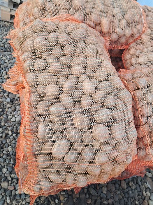 Cartofi de samanta elita