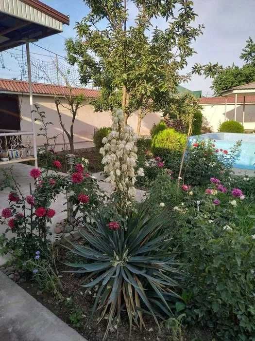 Срочно продается дом-дача