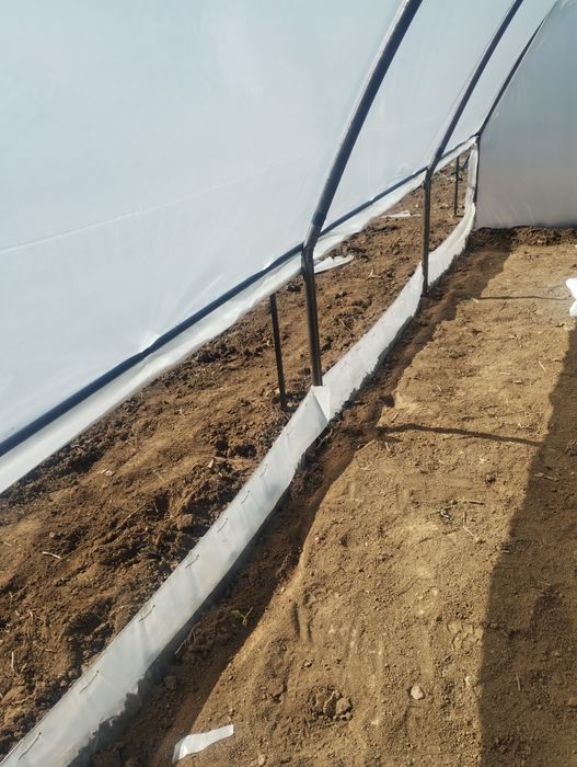 Solariul casei pt legume