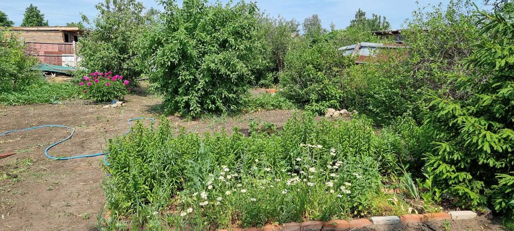 Продам дачу в СО "Текстильщик-1"