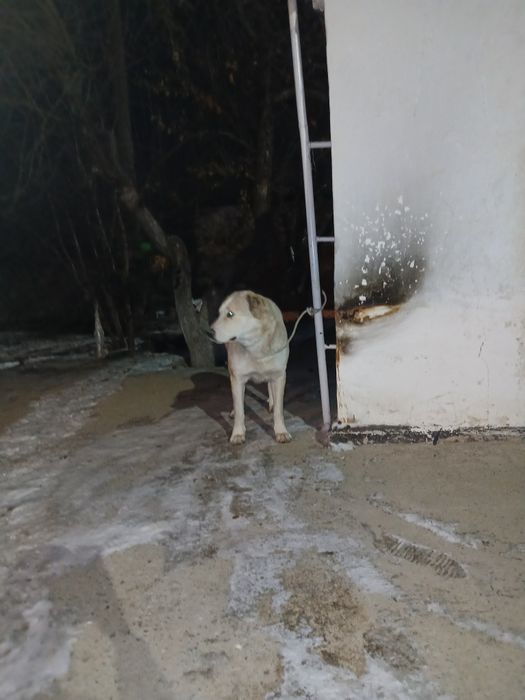 Срочно продам цена 45 000