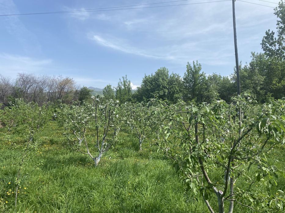 Продается дом в Тургене