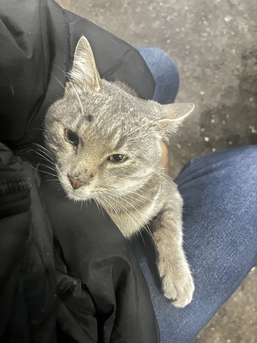 Отдам хороши руке