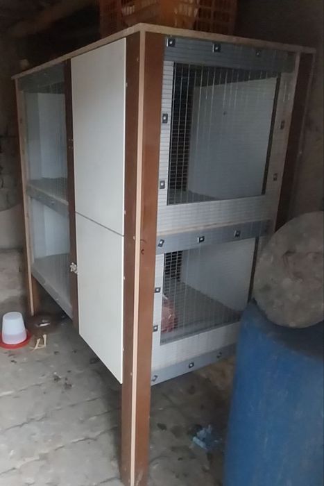 Toviq va qush ini sotiladi