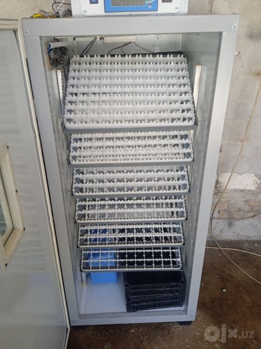 Inkubator 576 talik avtomatik