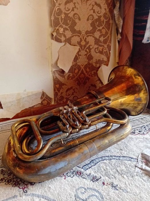 Muzikalni instrument