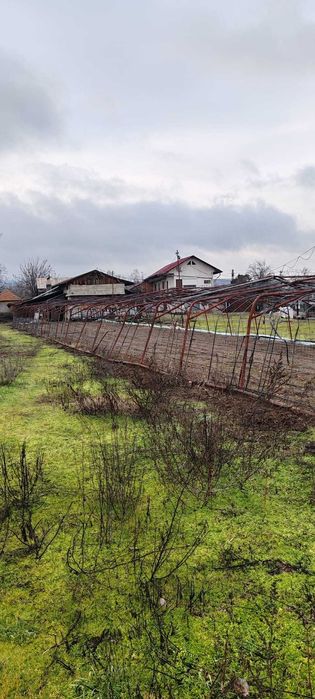 Vand echipamente agricultura : teasc struguri  , solare , cub plastic