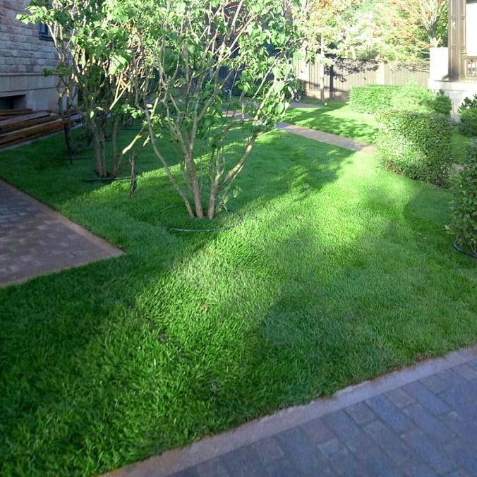 Газон, сетка, микроклимат