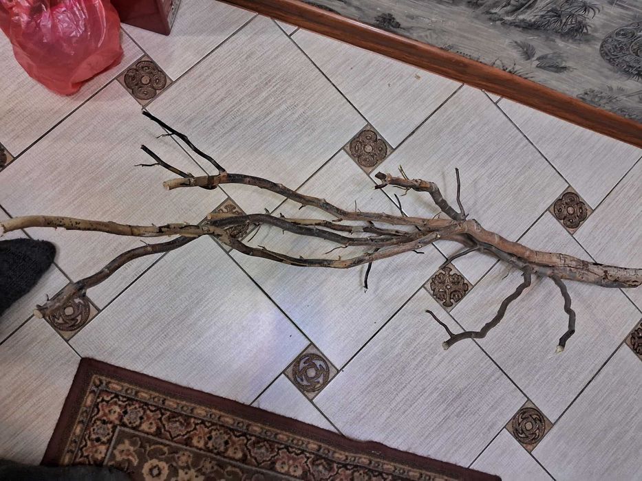 Коряга в аквариум