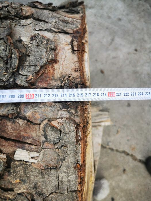 Слэб под распил - КАШТАН