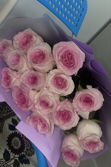 цветы метровые розы