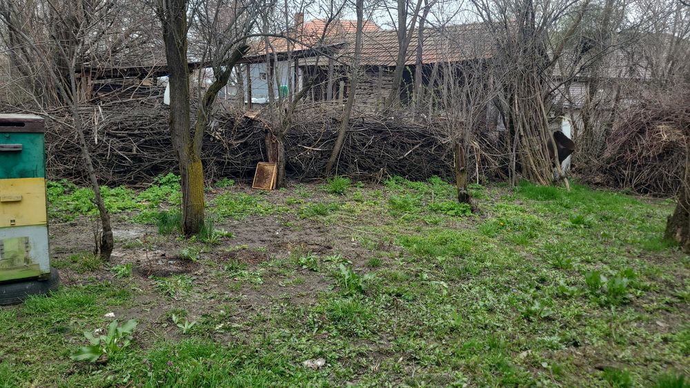 Vand rame stupi cu miere in ele si cutii de stupi pe 9 si 10 rame