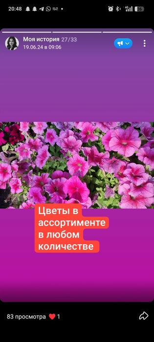 Рассада овощей и цветов