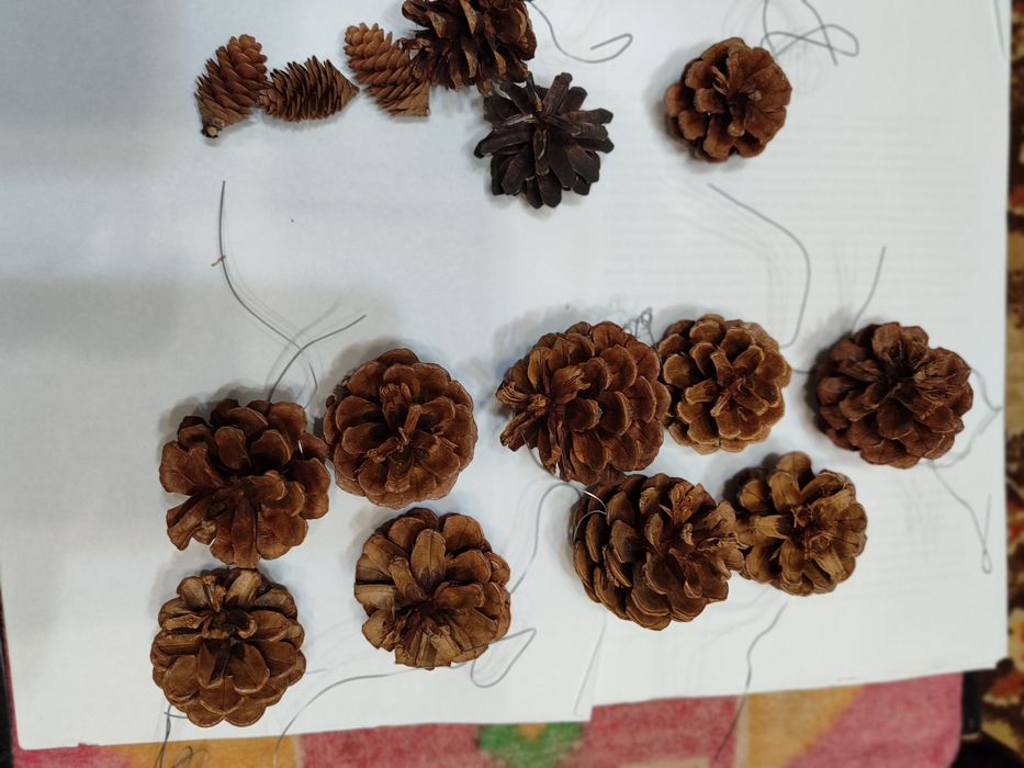 Шишки сосновые для декора