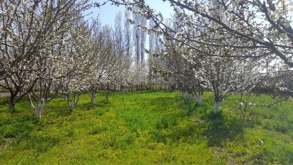 Продается участок 20соток