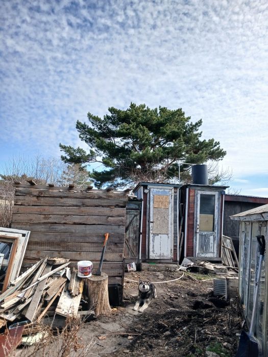 Дача общество Вишенка