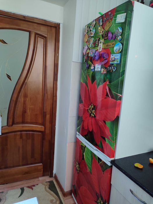 Холодильник с морозильной камерой