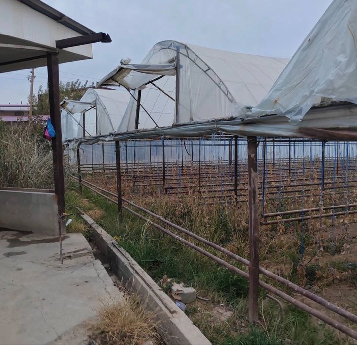 Готовый агробизнес: тепличная ферма в Назарбеке