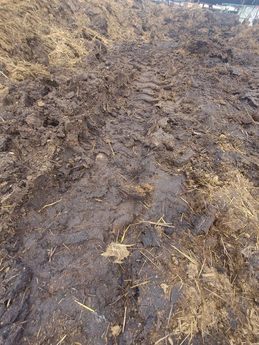 Продам навоз для удобрения