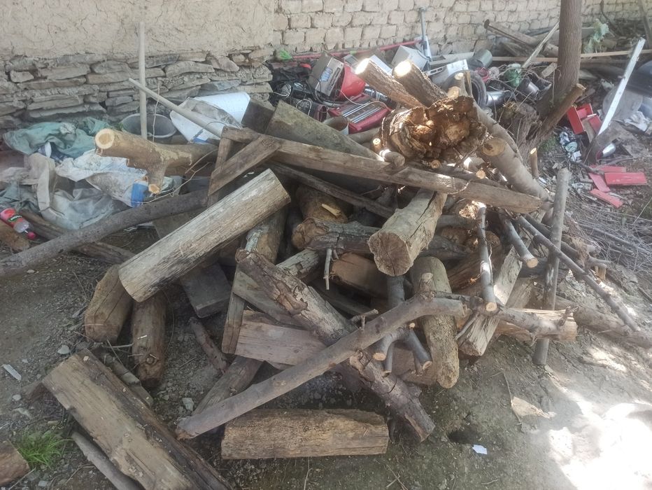 Oʻtin qalin. Утин калин