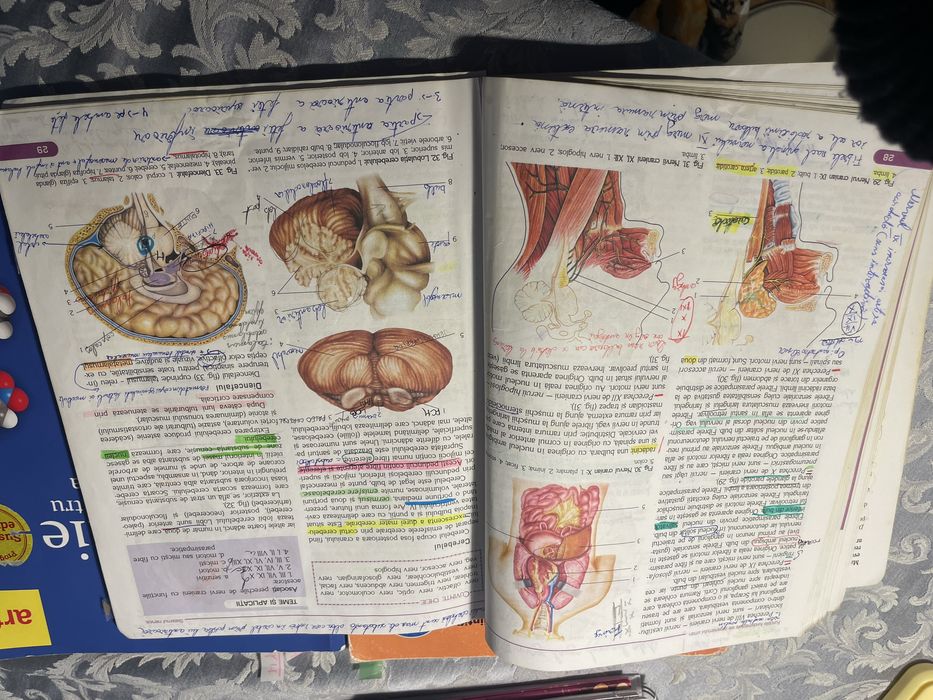 Carti admitere medicina