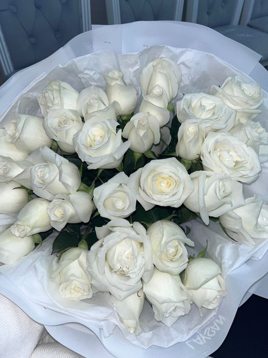 цветы свежий розы белый