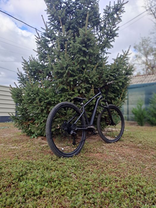 Rockrider st120 (dirt)